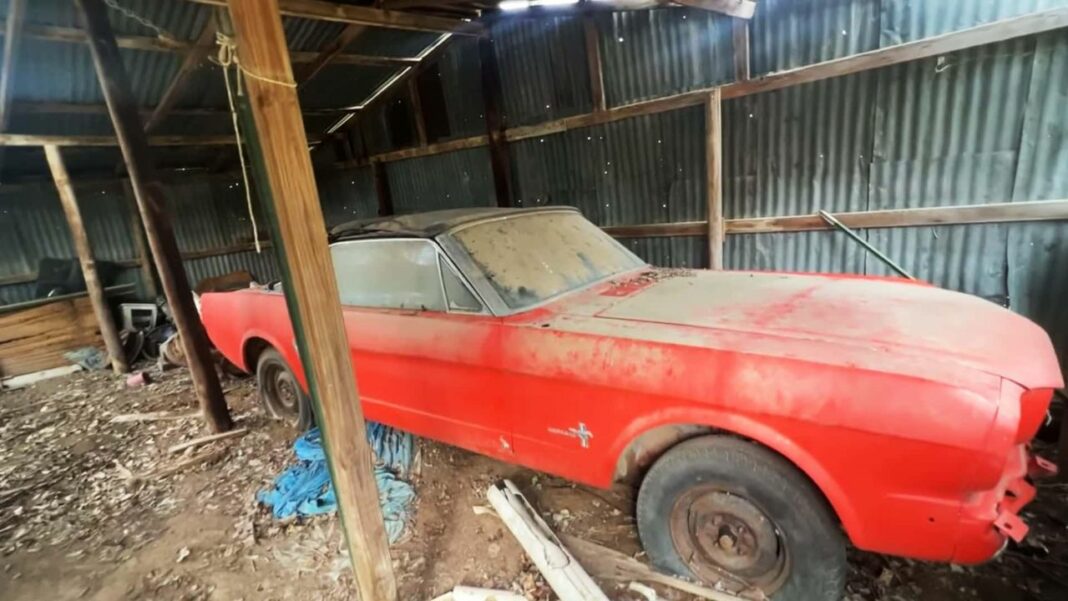 source:motor1 - Un Mustang del '65: Riscoprire un Classico Dimenticato