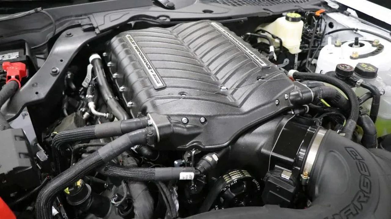 Dettagli_sulla_Ford_Shelby_GT350_NXn6BNRePb - Veicoli24 Dettagli sulla Ford Shelby GT350 - 2025 Ford Shelby GT350R