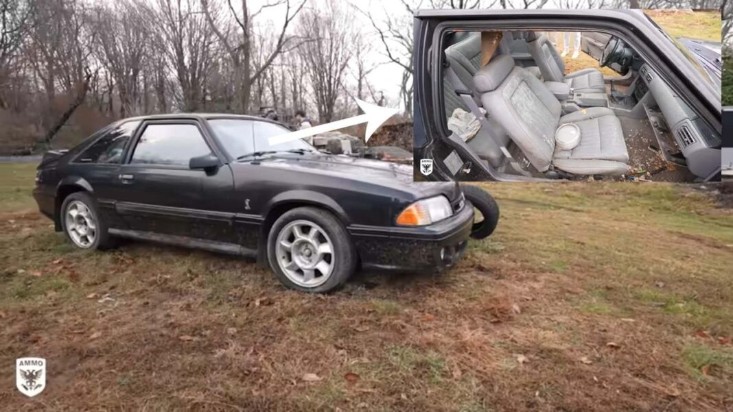 Il risultato finale Il recupero di una Ford Mustang SVT Cobra infestata da topi