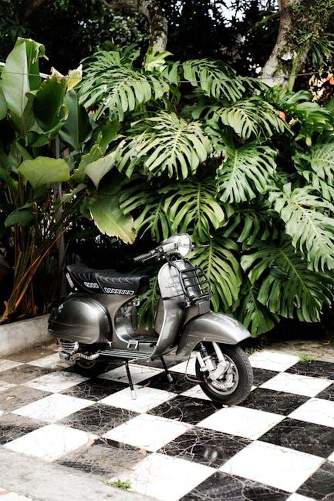 Affordability_e_sfide_per_i_consumatori_Pnx0fhoajy - Veicoli24 Source: Labskiii - pexels - A classic scooter parked on black and white checkered tiles amid dense green foliage.
