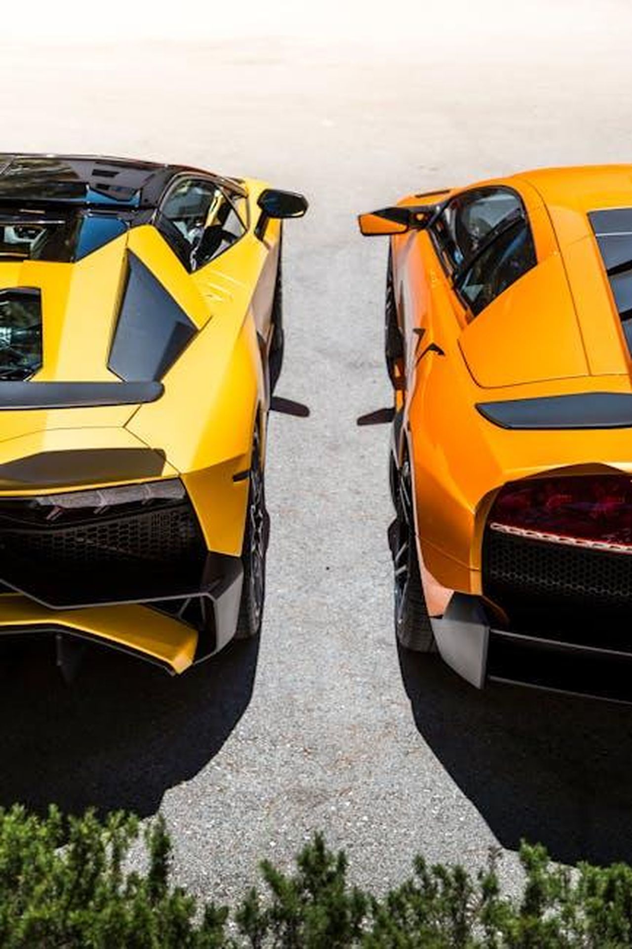 Calendari_sportivi_FIA_2025_approvati_cPJn2SpUzY - Veicoli24 Source: Quentin Martinez - pexels - Bright yellow and orange Lamborghini supercars parked side by side in a sunny setting.
