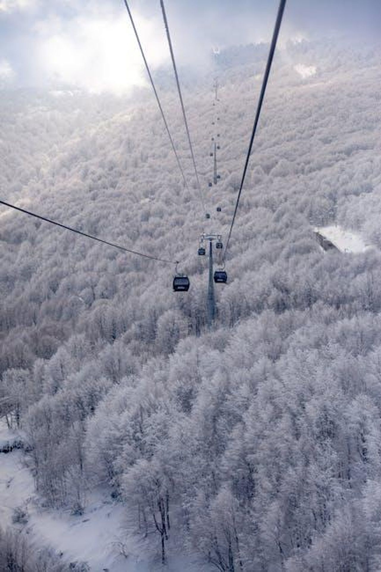 Caratteristiche_dellA110_R_70_e_A110_GTS_8mMzQtrrzx - Veicoli24 Source: Sefa Tekin - pexels - Aerial view of cable car traveling over a snow-covered forest, creating a serene winter scene.