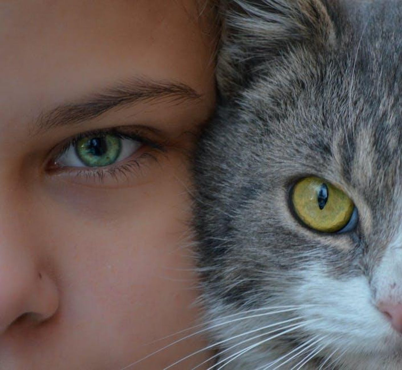 Caratteristiche_e_prestazioni_del_Polestar_3_pe5zbqC209 - Veicoli24 Source: Teodora Popa photographer. - pexels - Intimate close-up of a girl and her cat in Cluj-Napoca, capturing the bond between human and pet.