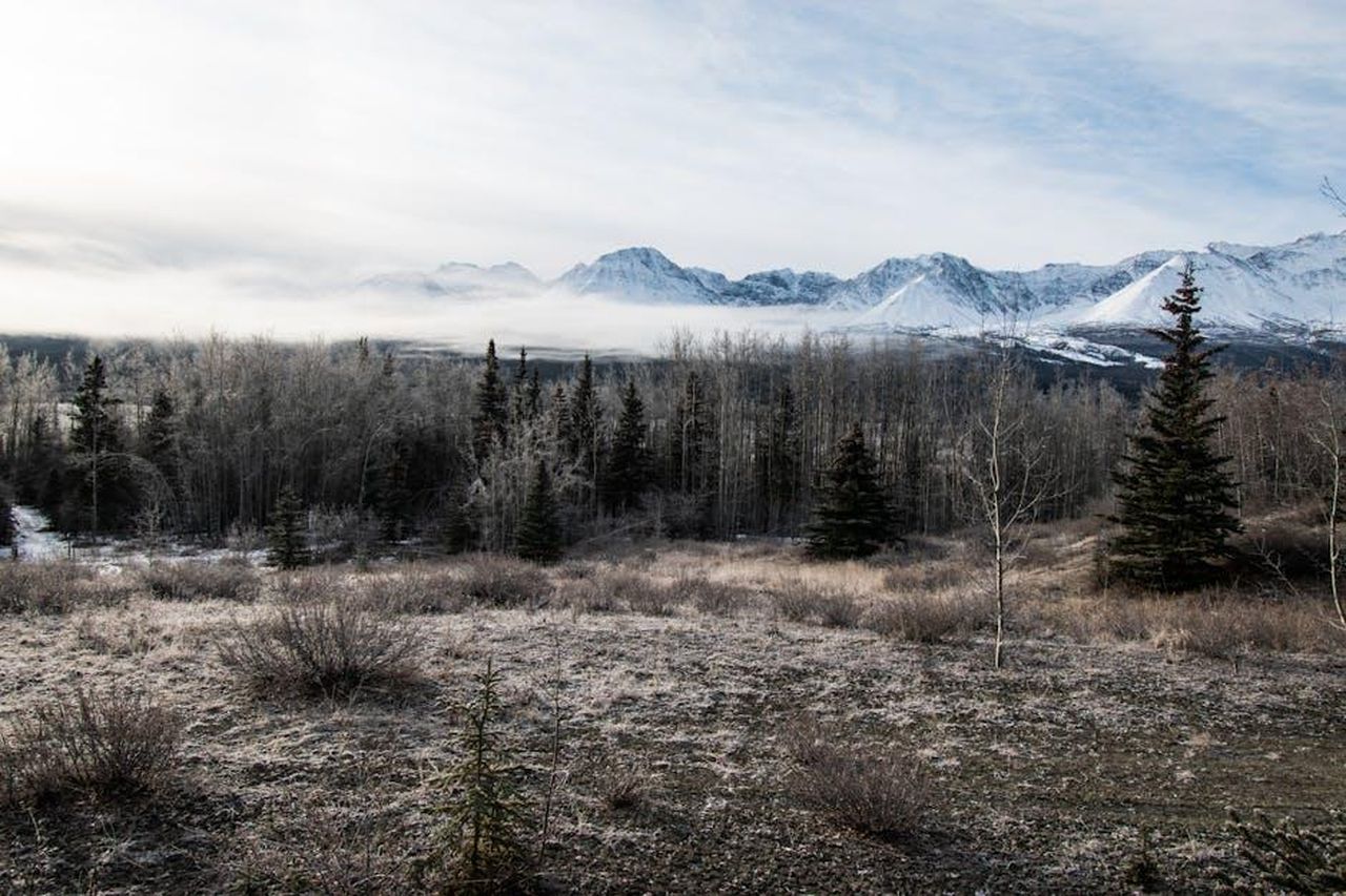 Caratteristiche_e_specifiche_del_GMC_Yukon_2025_pQDwVZTv8O - Veicoli24 Source: Maximilian Ruther - pexels - Explore the serene winter beauty of Haines Junction in Yukon, Canada with snow-covered mountains and leafless trees.