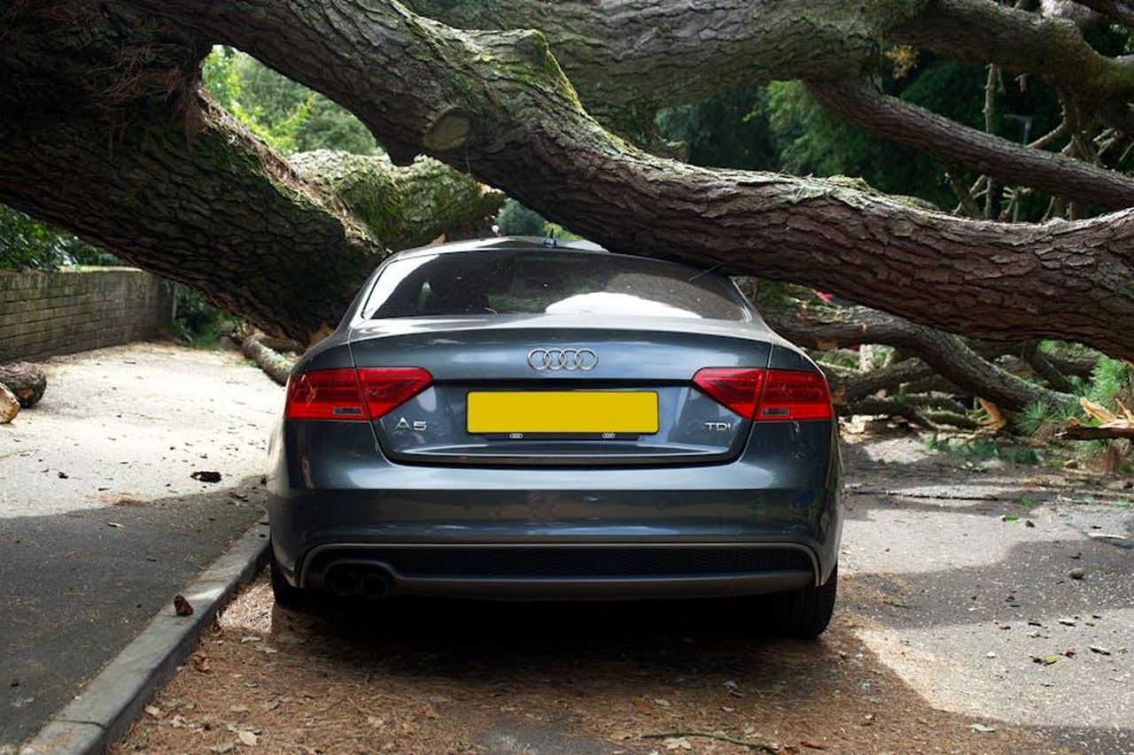 Confronto_tra_Audi_A4_e_A5_O4XGw8TdfL - Veicoli24 Source: Mike Bird - pexels - An Audi A5 severely damaged by a fallen tree on a street in the UK.