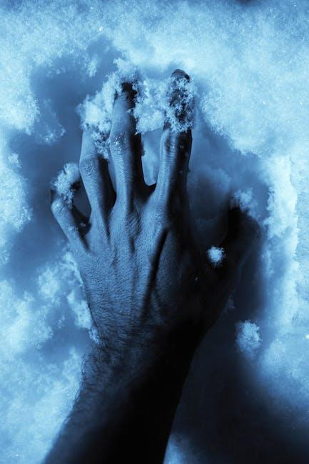 Contatti_stampa_IYIHUb9IVS - Veicoli24 Source: Artem Korsakov - pexels - Detailed image of a human hand pressing into soft snow, showcasing texture and winter feel.
