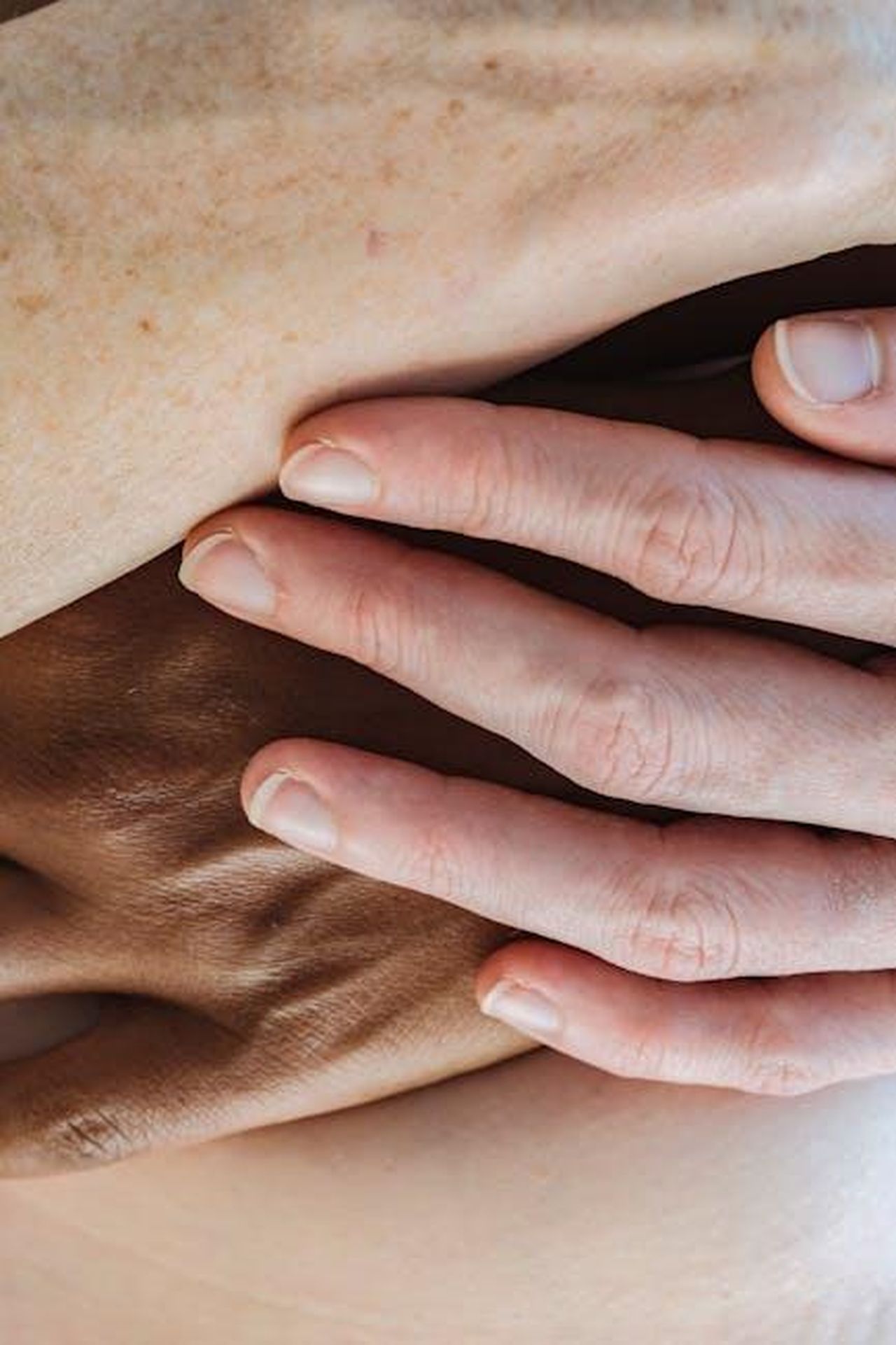 Contatto_Stampa_e9En3KrfSM - Veicoli24 Source: Angela Roma - pexels - A close-up shot of diverse hands interlocking, symbolizing unity and connection.