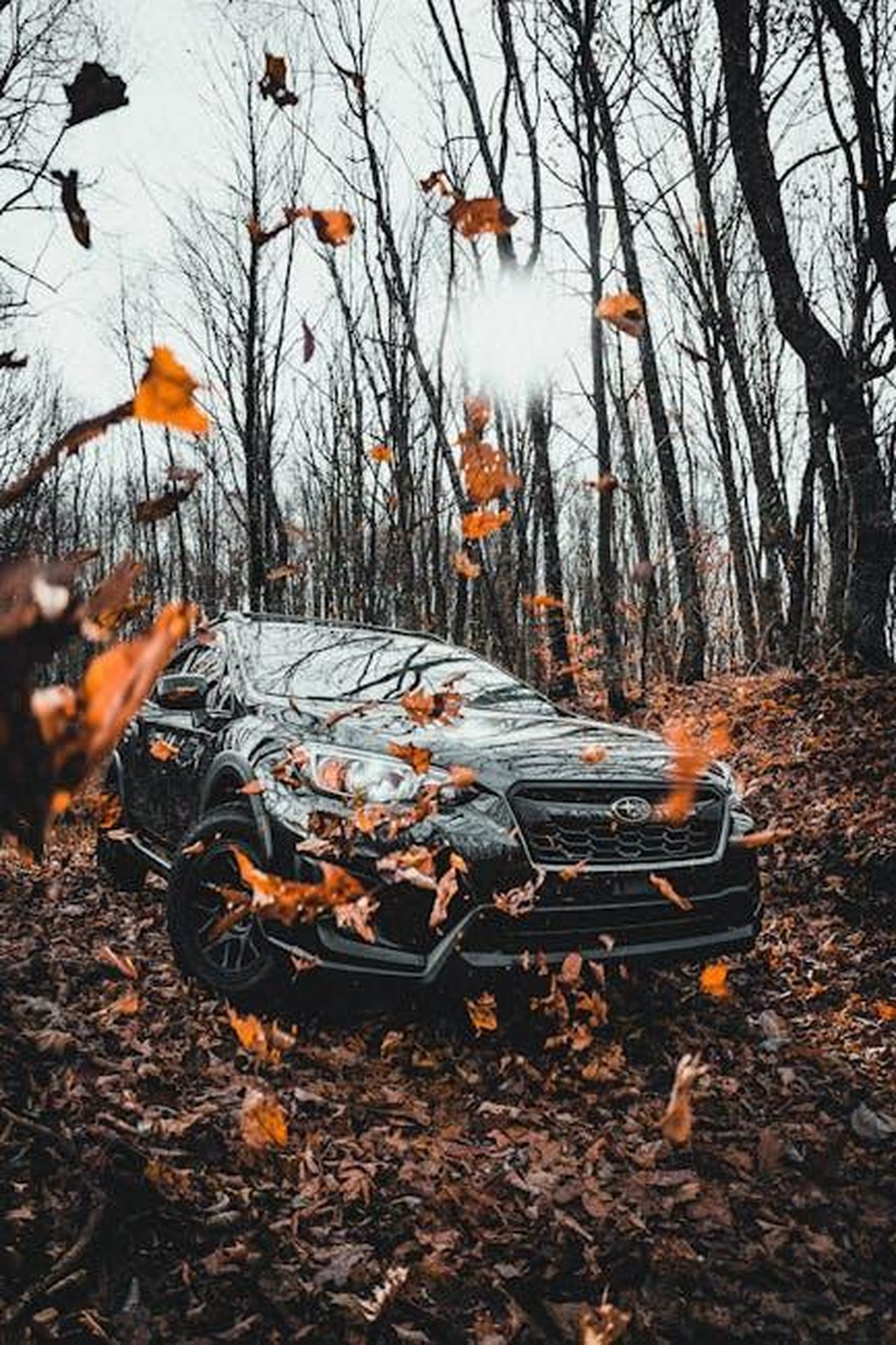 Cosa_ci_piace_della_Subaru_Ascent_2025_YTQyiPMqOM - Veicoli24 Source: Connor McManus - pexels - A Subaru SUV drives through a leaf-laden forest in autumn, epitomizing adventure and off-road capability.