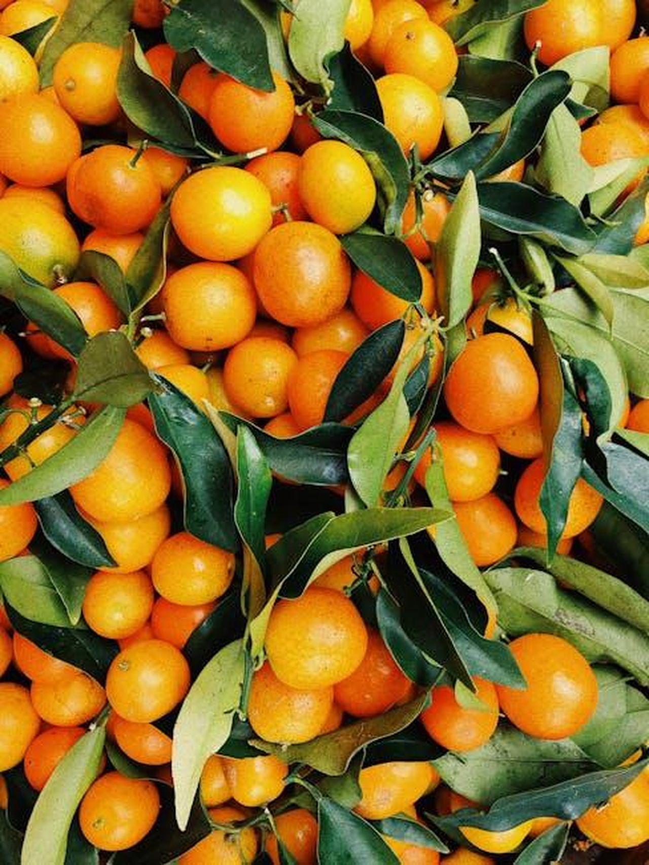 Crescita_del_mercato_PHEV_in_Cina_nel_2024_cFTcVr7h2S - Veicoli24 Source: julie aagaard - pexels - A vibrant pile of fresh tangerines with green leaves, showcasing natural freshness and vivid colors.
