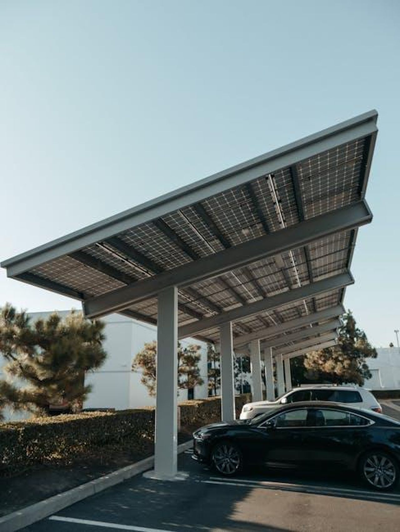 Crescita_del_mercato_delle_auto_elettriche_in_Cina_nel_2024_fv7h5xuHSo - Veicoli24 Source: Kindel Media - pexels - Cars parked under solar panel structures in a modern parking lot utilizing renewable energy.