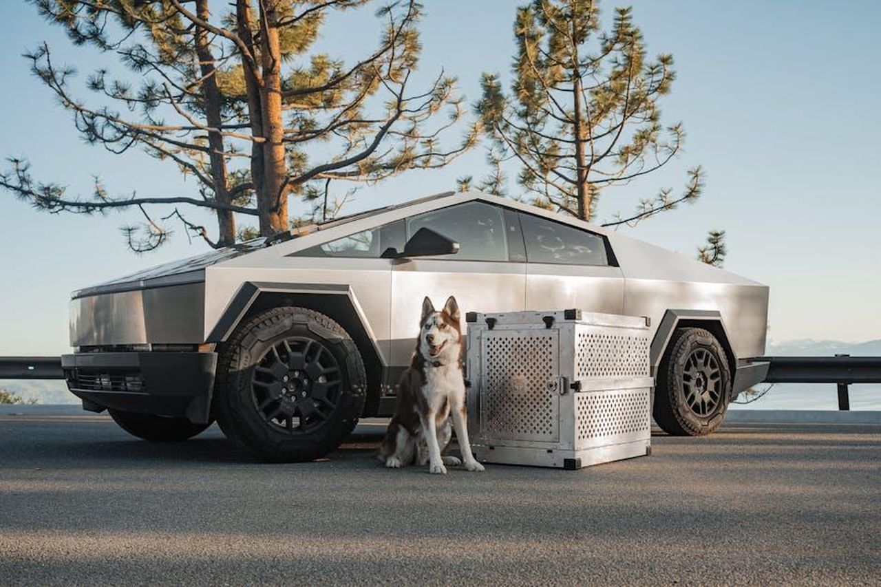 Domande_senza_risposta_sul_richiamo_di_Tesla_presso_la_NHTSA_ggJ5zKbNo0 - Veicoli24 Source: Impact Dog Crates - pexels - A Tesla Cybertruck parked outdoors with a dog and premium crate, set against a scenic backdrop.