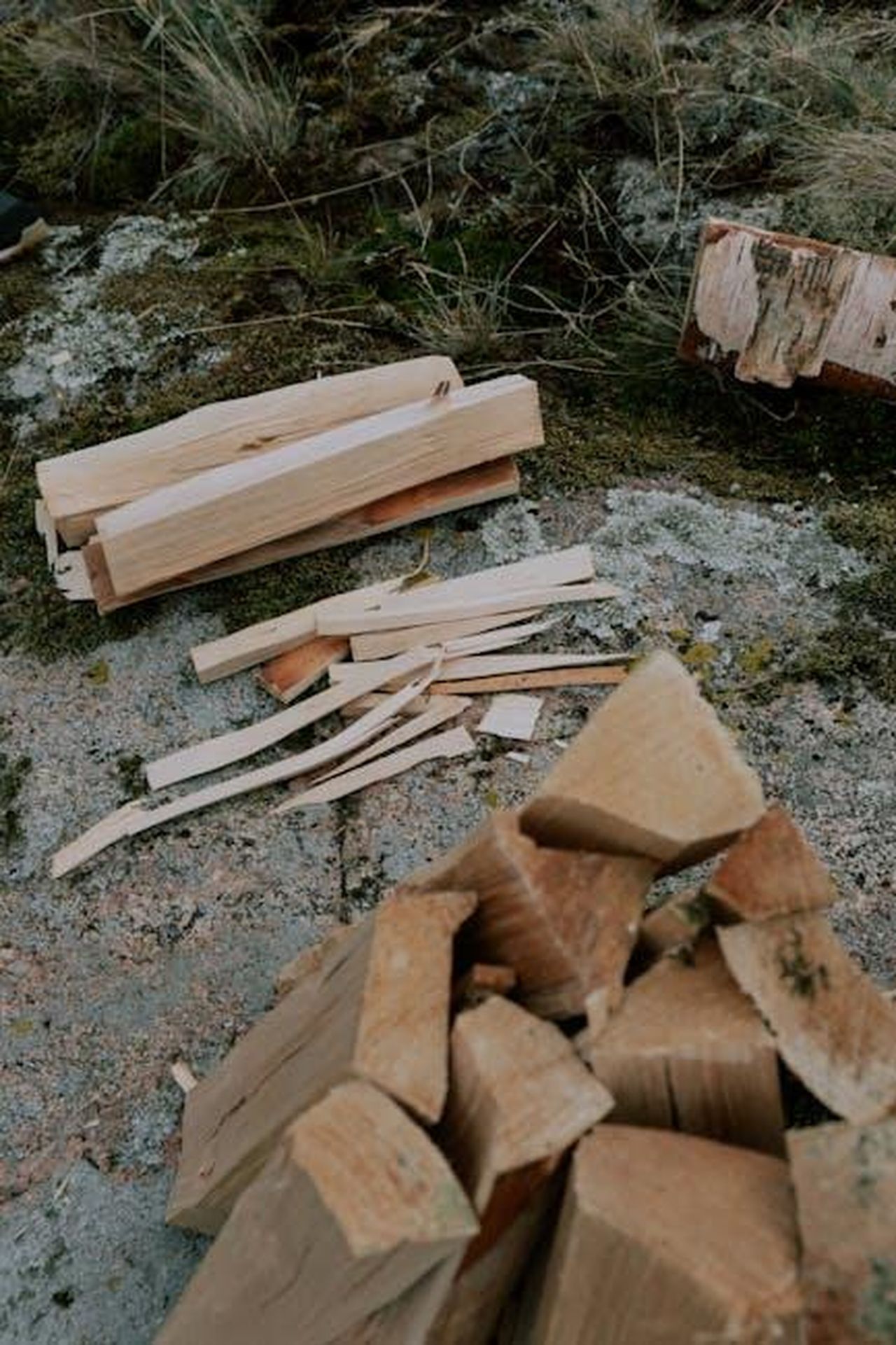 F1_e_lintroduzione_di_carburante_sostenibile_nel_2026_0U1FSL63L2 - Veicoli24 Source: cottonbro studio - pexels - Pile of chopped firewood on a mossy surface, perfect for rustic themes.