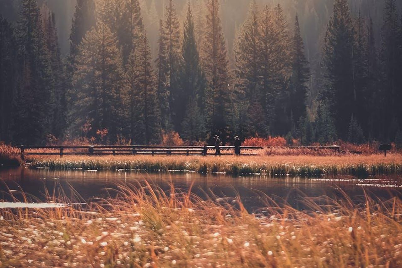 Il_nuovo_modello_Supersport_di_Morgan_p1mYHTbvIe - Veicoli24 Source: Mikal Kelaidis - pexels - Peaceful autumn scene featuring tall pine trees and a tranquil lake in Morgan, Utah.