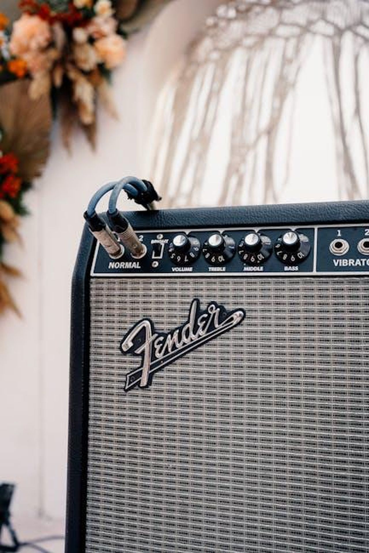 Il_suono_inconfondibile_delle_auto_F1_V10_j7EOJQVDnp - Veicoli24 Source: thel0stkidd . - pexels - music instruments