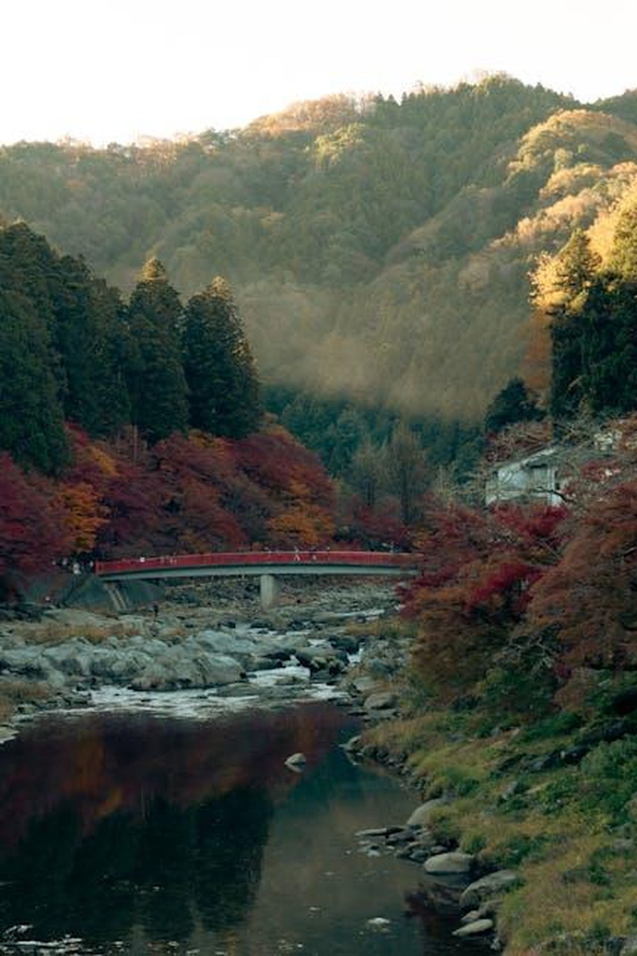 Intervento_del_Presidente_Toyoda_LH6GEDwIpB - Veicoli24 Source: Huu Huynh - pexels - Capture of a scenic river and bridge surrounded by vibrant autumn foliage in Toyota, Japan.