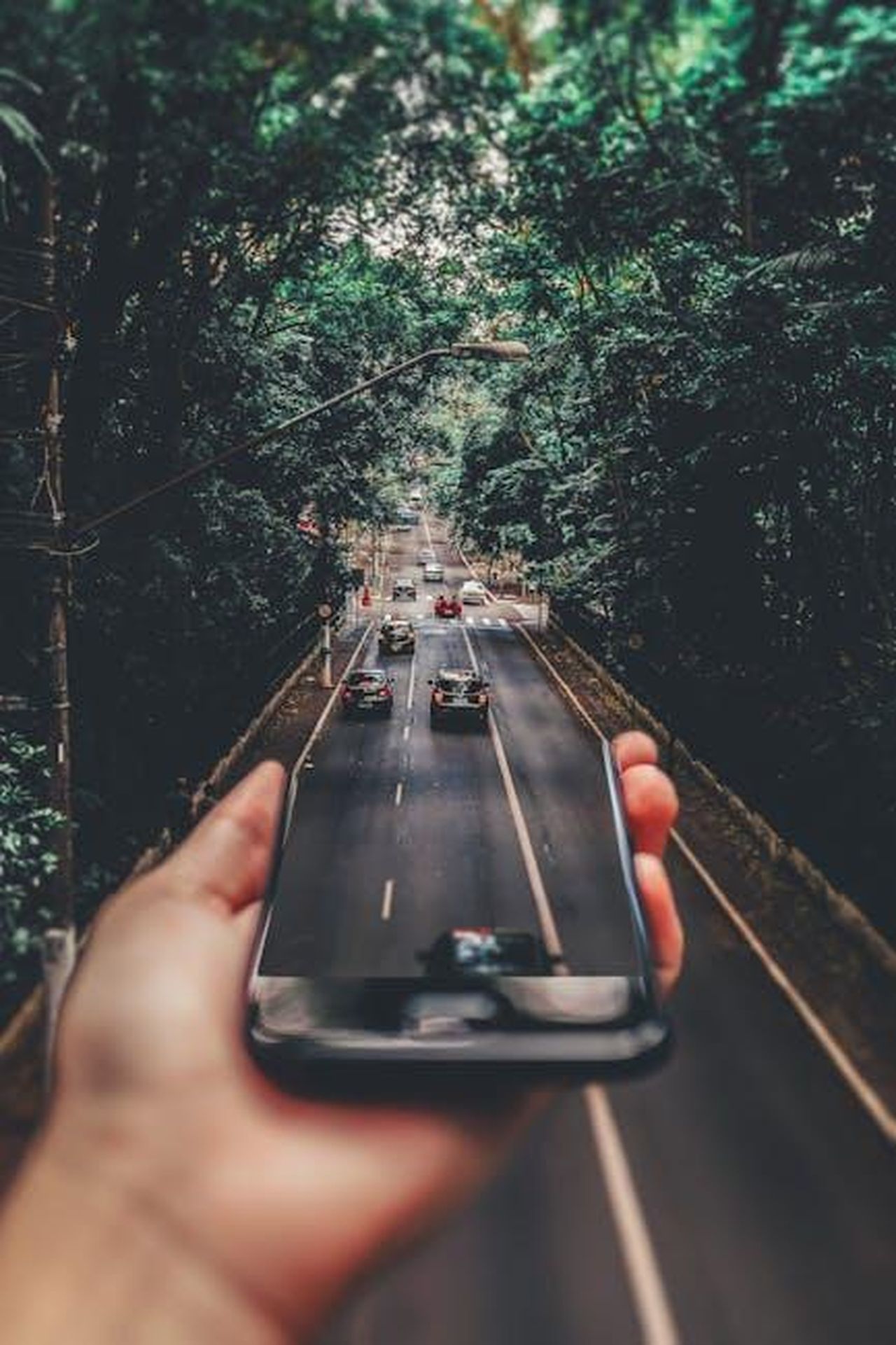 Le_sfide_finanziarie_di_Turo_e_il_loro_impatto_GtTA26nssY - Veicoli24 Source: Matheus Bertelli - pexels - Creative blend of technology and nature with smartphone framing a bustling road through forest.