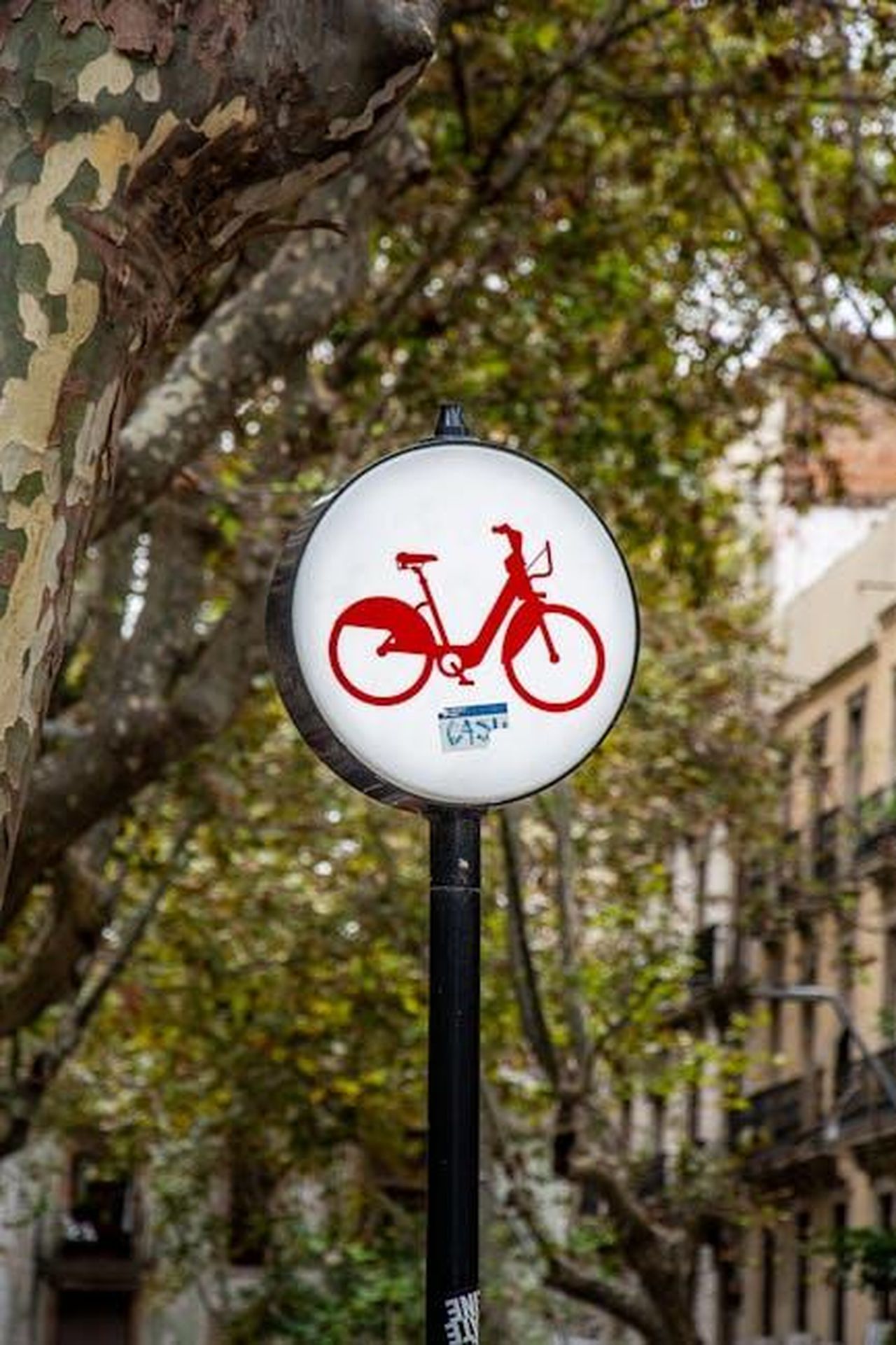Obiettivi_di_riduzione_delle_emissioni_di_CO2_l7VThpPi9j - Veicoli24 Source: Julio Irrazabal - pexels - Circular bike sign on a city street amidst trees, hinting at an urban biking opportunity.