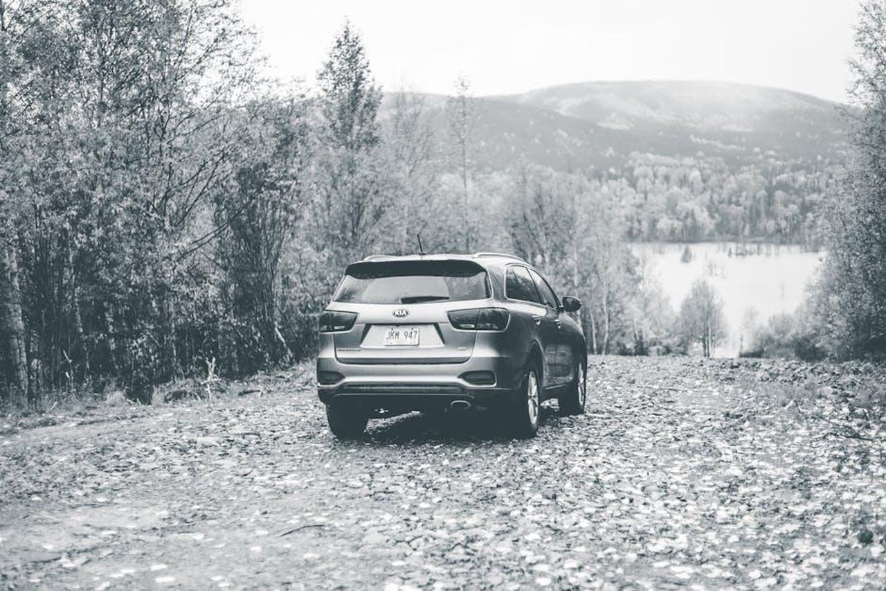 Presentazione_del_SUV_di_medie_dimensioni_CECdauP6jI - Veicoli24 Source: Erik Mclean - pexels - Monochrome image of a Kia Sorento SUV parked on a forest road on a misty day.