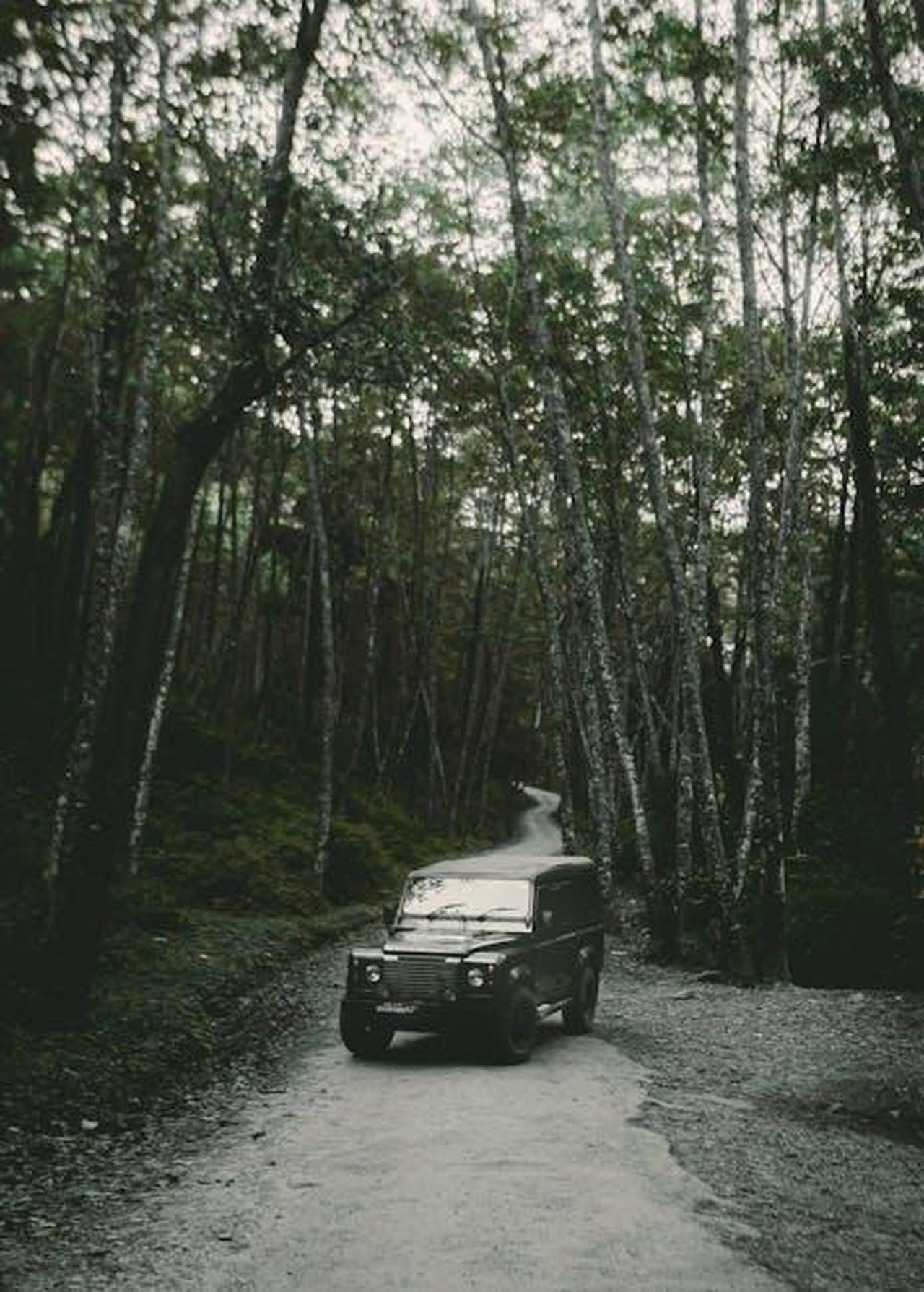 Punti_di_debolezza_8q7gPt3mwv - Veicoli24 Source: Kushal rayamajhi - pexels - landrover defender