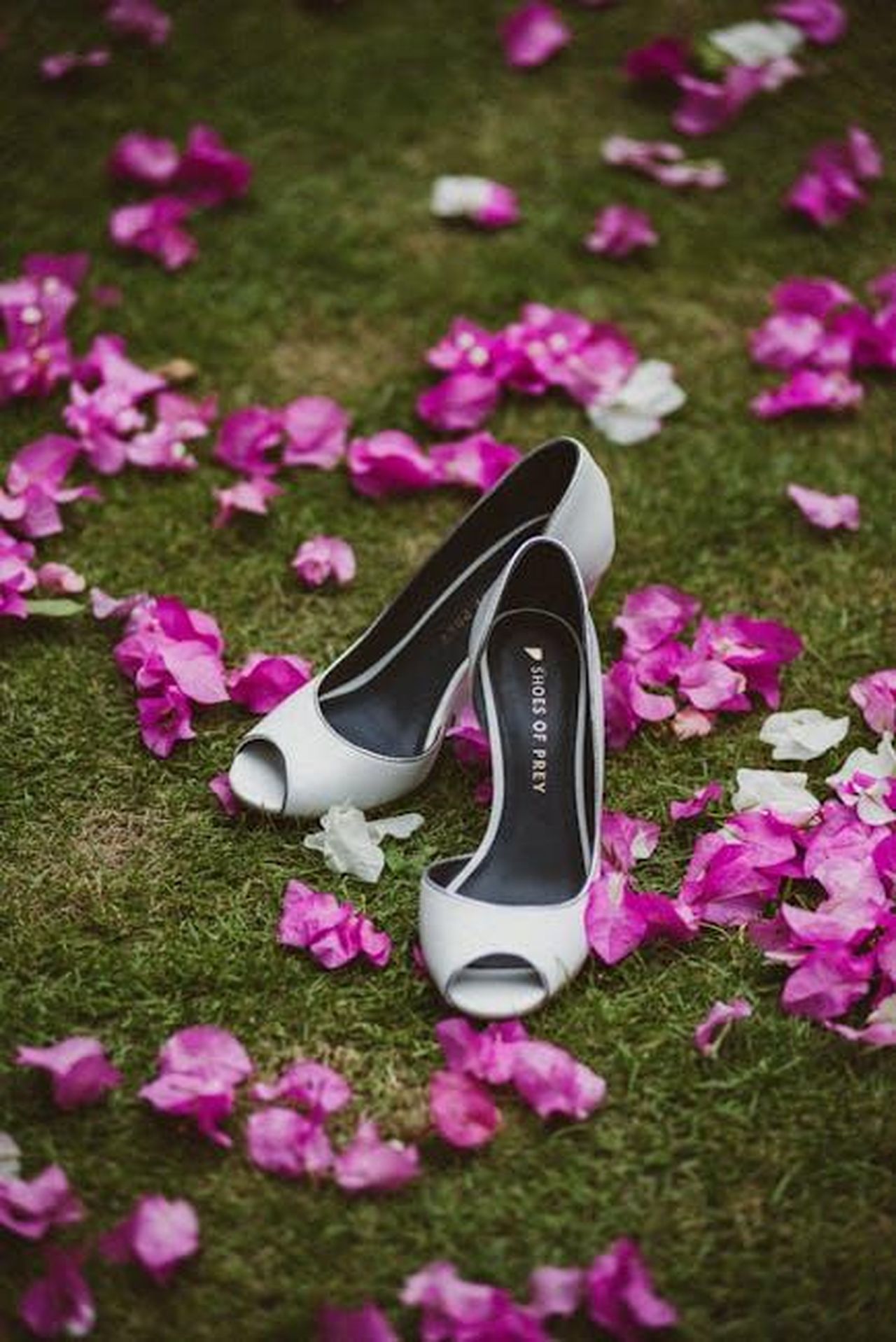 Risultati_al_Simola_Hillclimb_in_Sudafrica_L29zgP9A8J - Veicoli24 Source: Didi Lecatompessy - pexels - Chic white heels on a lush green lawn scattered with vibrant pink petals in Bali.