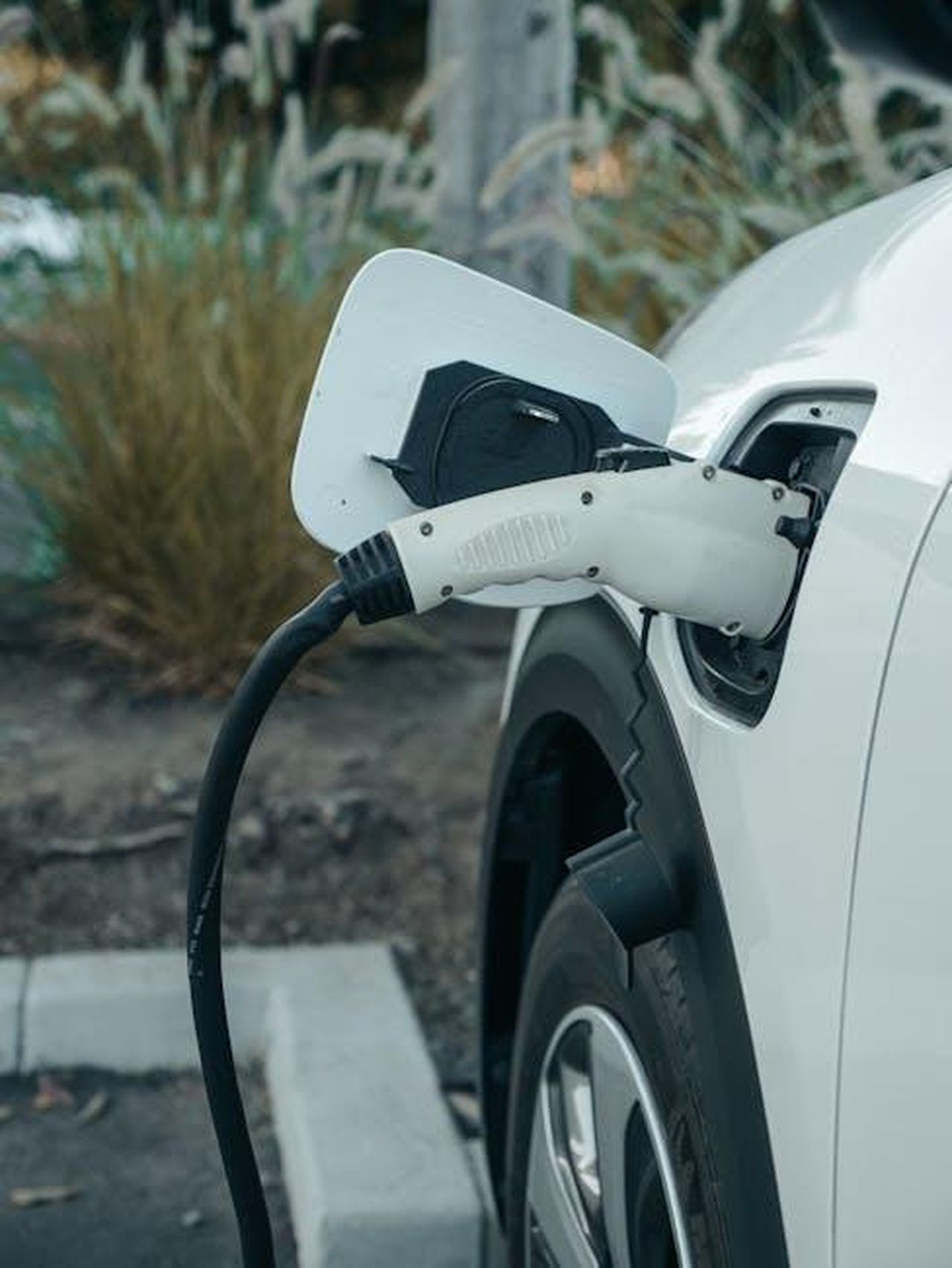Risultati_del_sondaggio_di_Which_sulla_degradazione_delle_batterie_3phkh6vDE4 - Veicoli24 Source: Kindel Media - pexels - Close-up of electric vehicle connected to charging station outdoors.