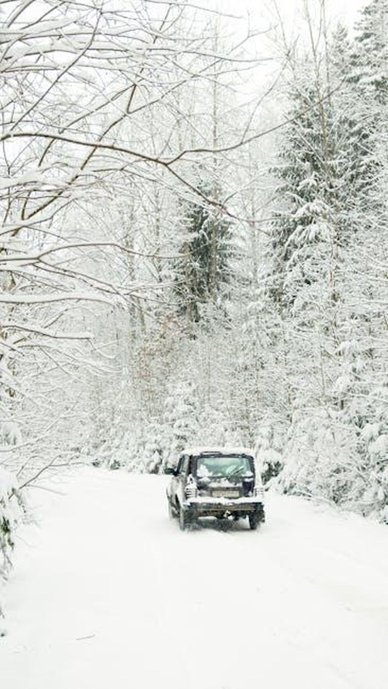 Sicurezza_della_GClass_2024_tmHI0UfNxj - Veicoli24 Source: Artem Podrez - pexels - A vehicle drives through a snow-covered forest road, surrounded by frosty trees in winter.