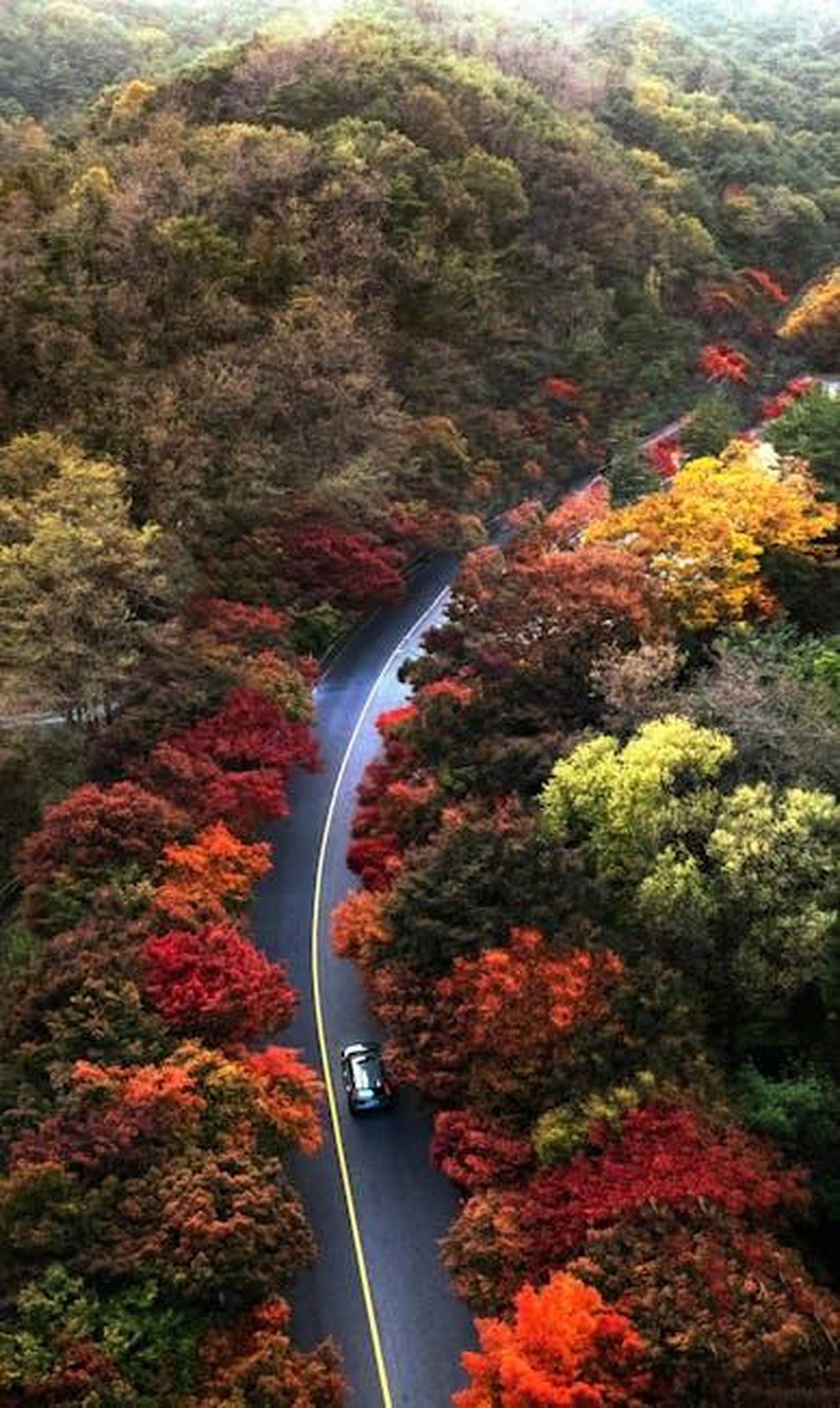 Specifiche_e_dimensioni_del_Kia_PV5_djt3qnPmwh - Veicoli24 Source: Hyundai Motor Group - pexels - Drone shot of a car on a winding road through vibrant autumn foliage.