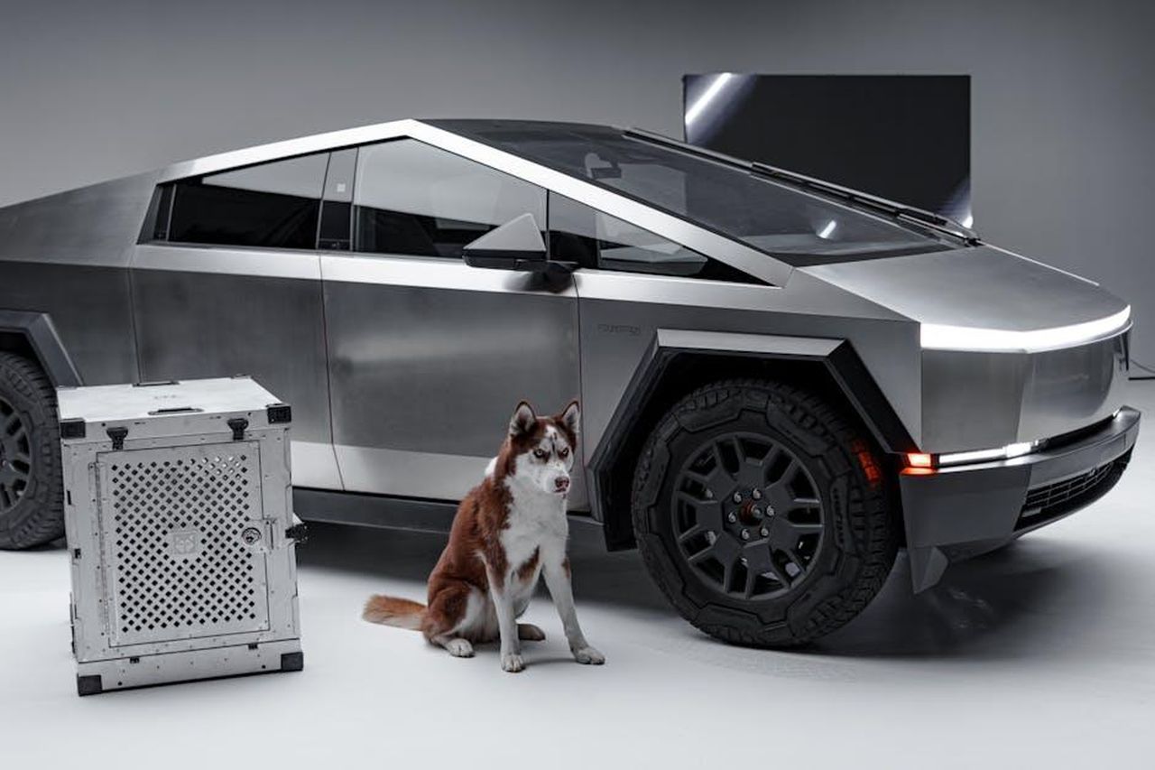 Wuling_e_Tesla_i_concorrenti_principali_5HB1BHFGBT - Veicoli24 Source: Impact Dog Crates - pexels - Sleek Cybertruck and Siberian Husky beside a sturdy dog crate, studio setting.