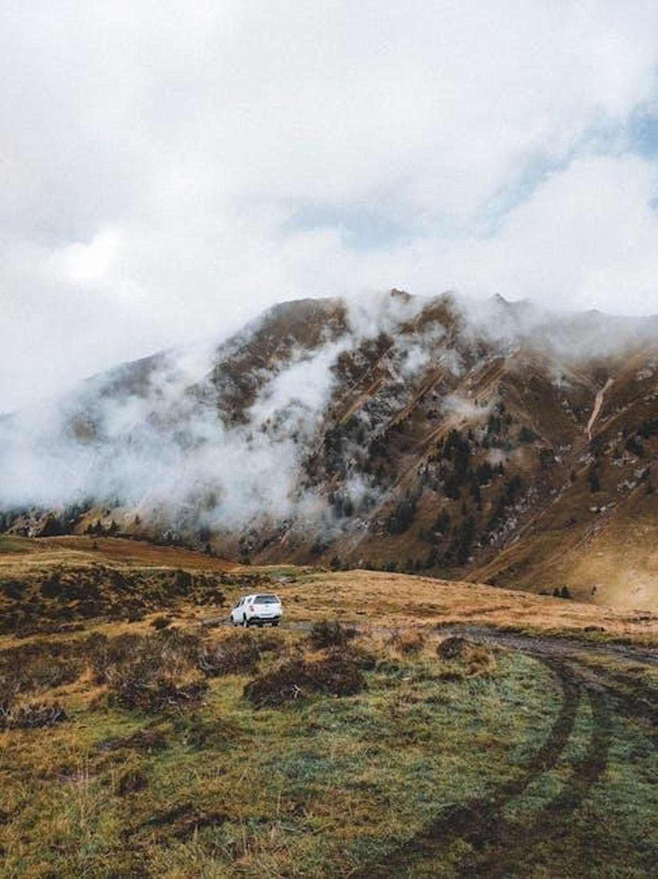 Caratteristiche_e_specifiche_BRFHJDjtsH - Veicoli24 Source: Alexey K. - pexels - Field trip