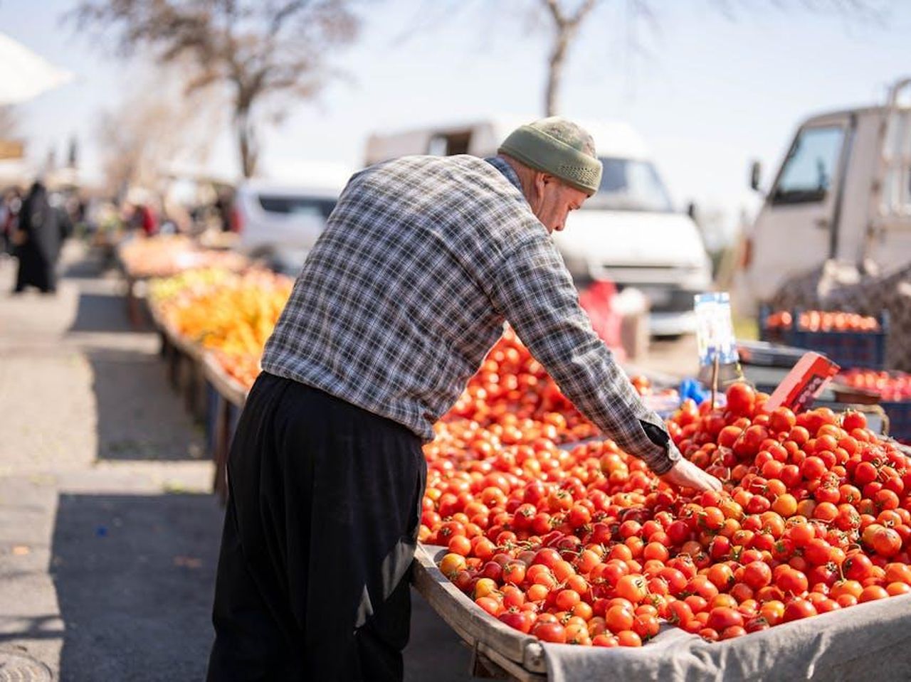 Consiglio_per_lacquisto_OUTkwSn23u - Veicoli24 Source: Ömer Furkan Yakar - pexels - Elderly man choosing ripe tomatoes at a bustling street market in Kahramanmaraş, Turkey.