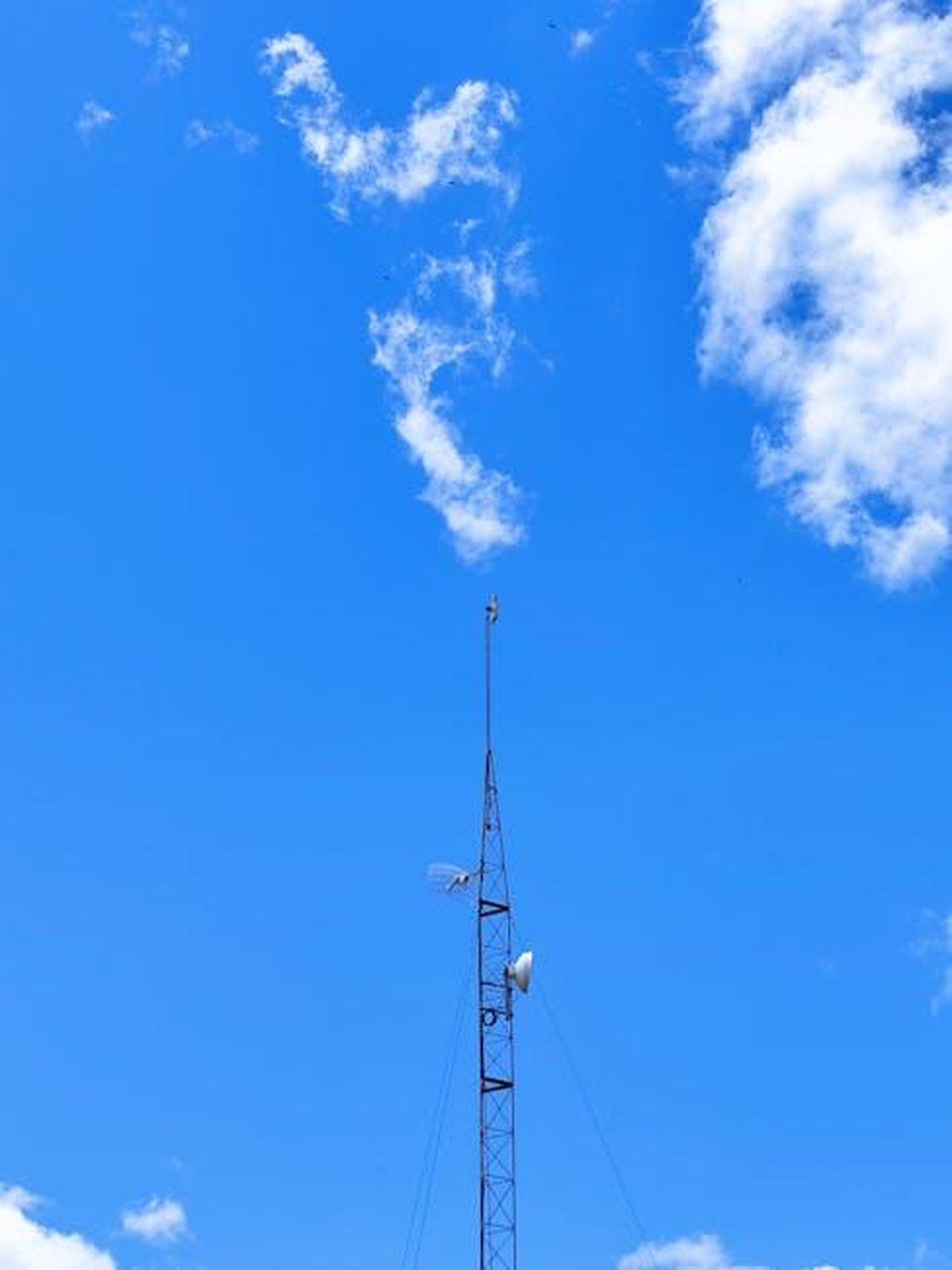 Dati_tecnici_trasmissione_satellitare_TV_pOFPvbIZNM - Veicoli24 Source: Jeitinho Pam - pexels - A towering radio antenna set against a vibrant blue sky with fluffy clouds in Brazil.