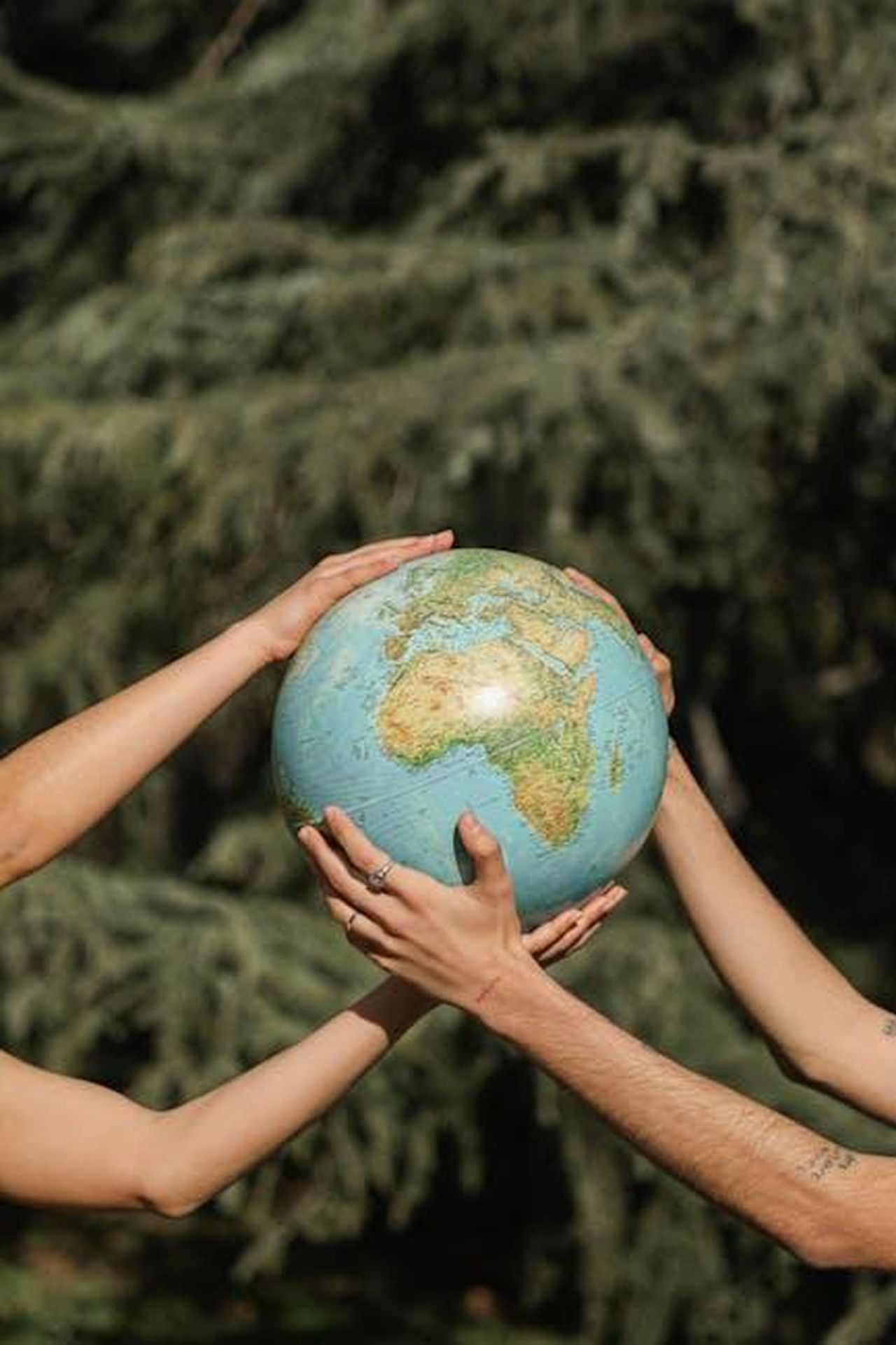 Dichiarazioni_di_Lancia_e_Differenza_Donna_rketSbNbji - Veicoli24 Source: Cup of Couple - pexels - Four hands holding a globe outdoors, symbolizing unity and environmental conservation.