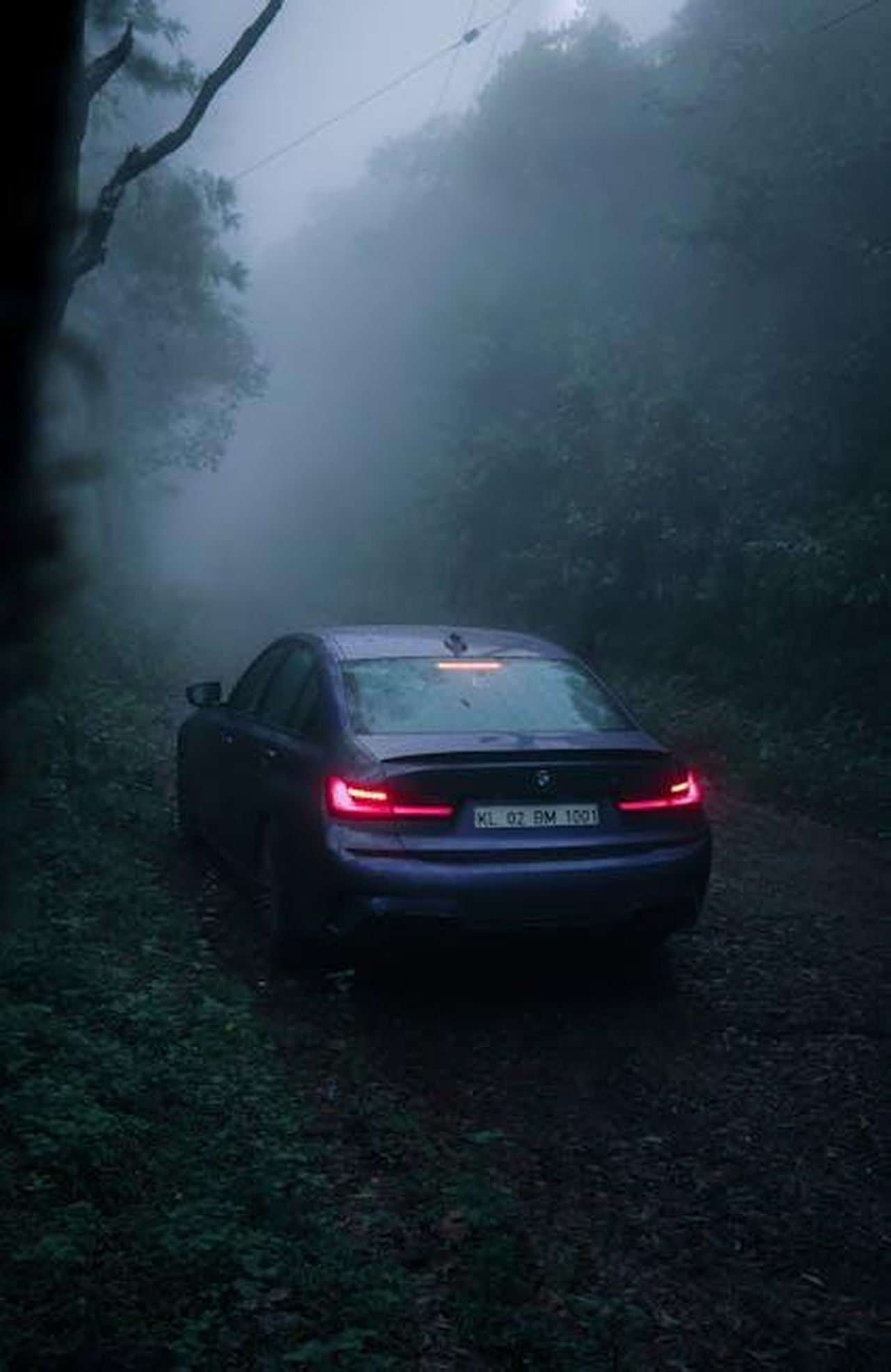 Download_del_Rapporto_BMW_Group_2024_qocFEC3W9G - Veicoli24 Source: Asish Aji - pexels - A luxury car surrounded by dense forest fog on a moody day, emphasizing solitude and nature's mystery.