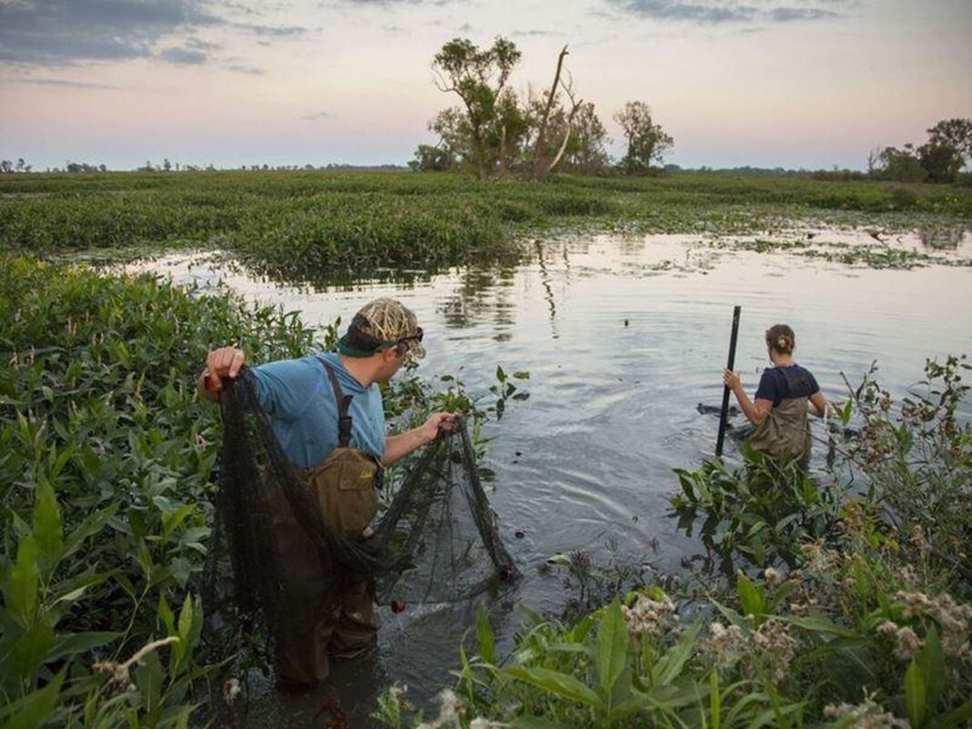 Impatto della Collaborazione Kia America Collabora con The Nature Conservancy per la Conservazione delle Acque