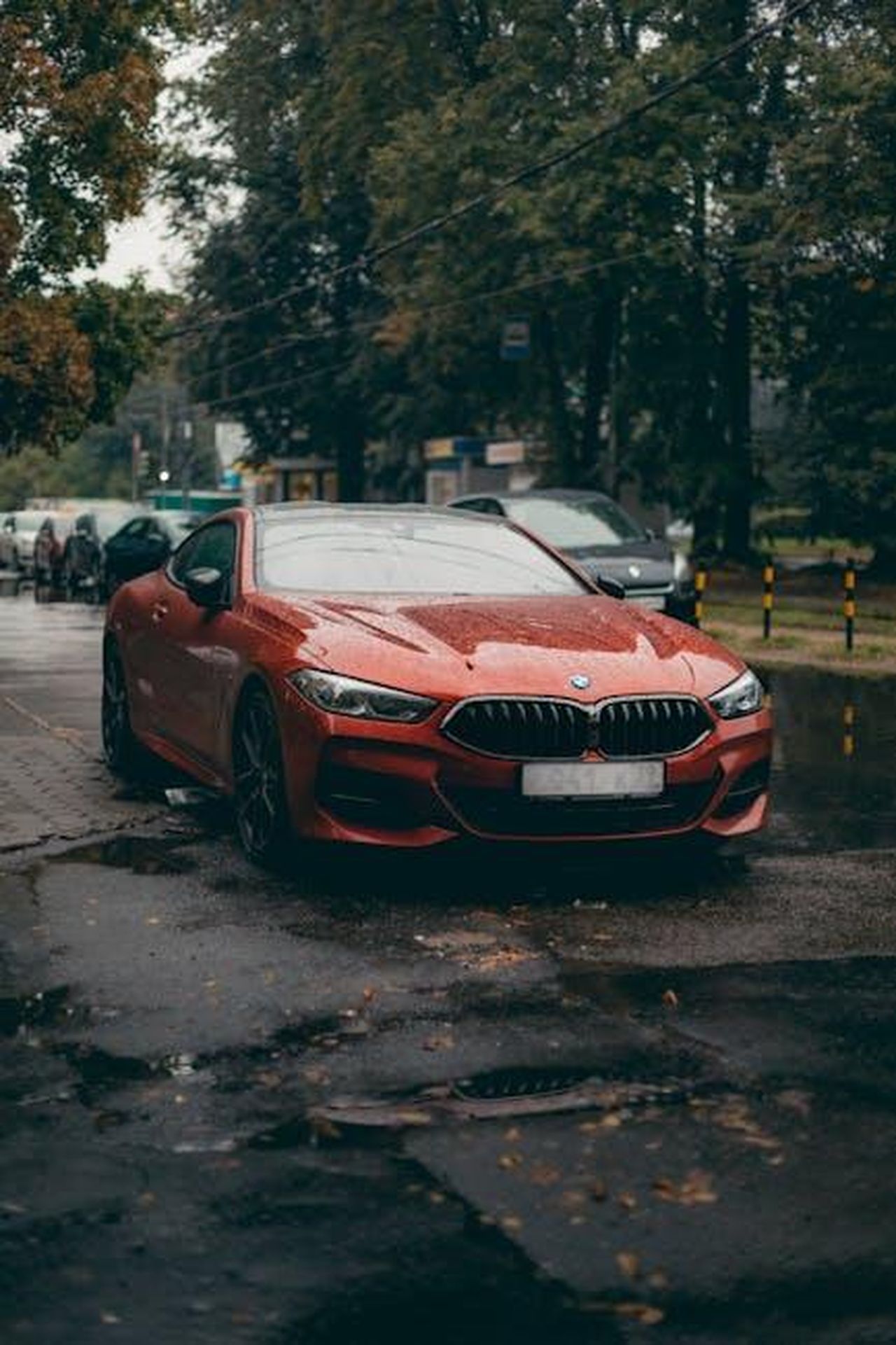 Performance_economica_del_BMW_Group_DgOeynD9Ta - Veicoli24 Source: Yura Forrat - pexels - Stylish red BMW coupe parked on a wet street surrounded by trees.