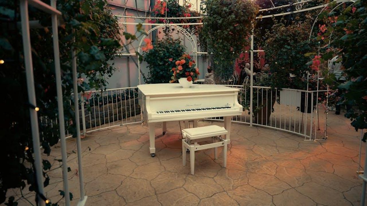 Performance_musicale_di_Roberta_Di_Mario_SRpHI6jXQV - Veicoli24 Source: Shane Aldendorff - pexels - White grand piano with roses in a romantic conservatory setting, ideal for weddings.