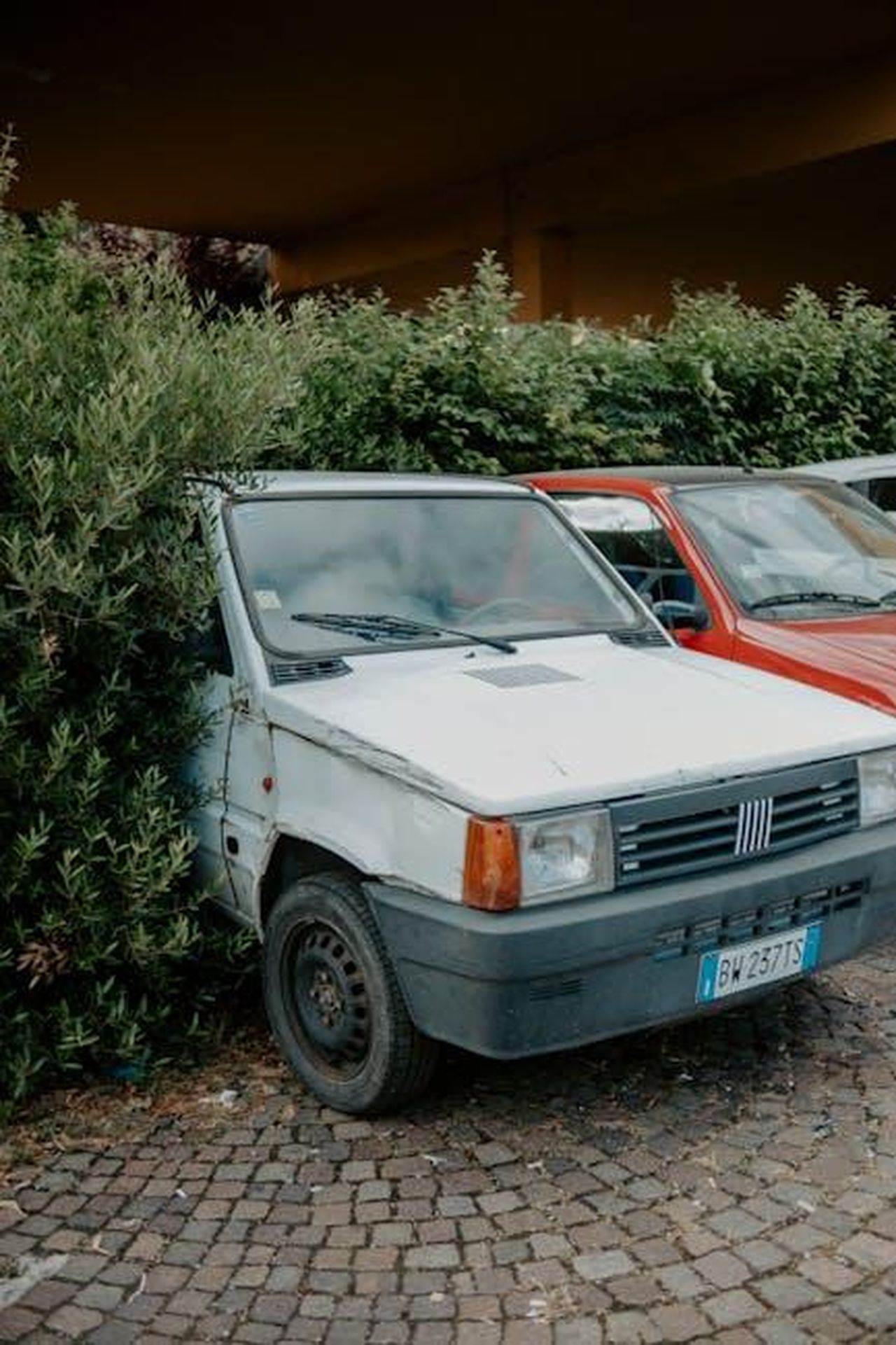 Riconoscimento_della_rivista_Mujer_Hoy_xvVI2BGp7W - Veicoli24 Source: Emre Akyol - pexels - A vintage Fiat Panda parked amidst overgrown foliage on a cobblestone street, evoking nostalgia.