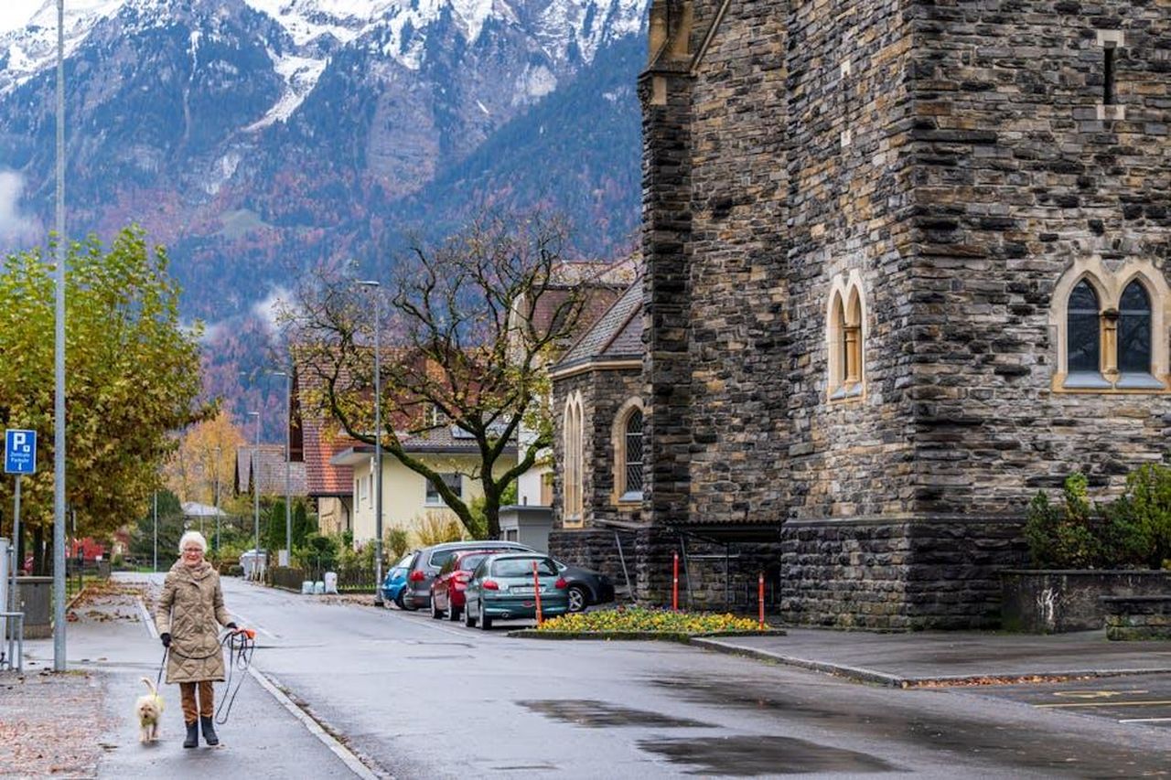 Tendenze_in_Svizzera_cMcQQnpJrA - Veicoli24 Source: Abhishek Navlakha - pexels - Walk the dog