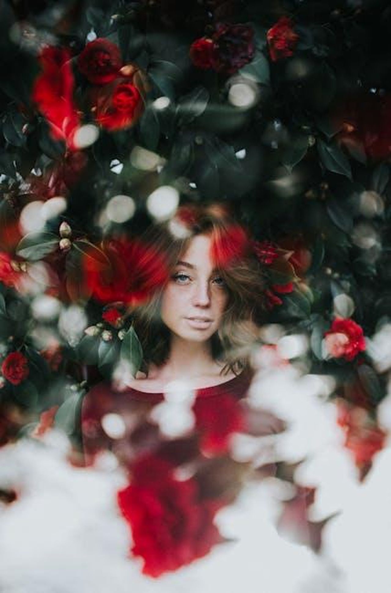 Painting_Portland_larte_di_Blaine_Fontana_yNBiwd7WnO - Veicoli24 Source: Cole Keister - pexels - Double exposure portrait of a woman surrounded by vibrant red flowers for a romantic feel.